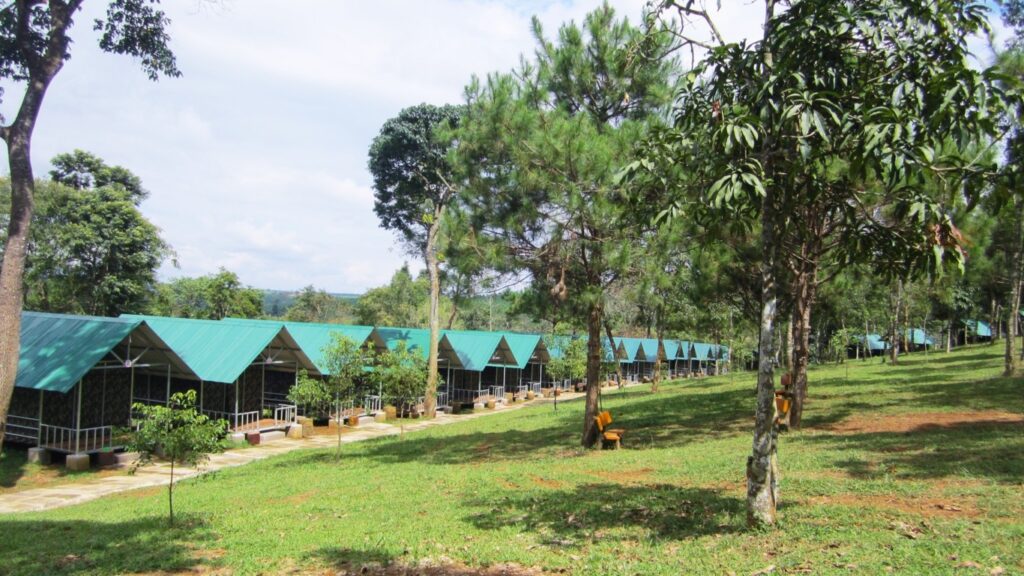 Khu cắm trại 10ha tại Thác Dambri