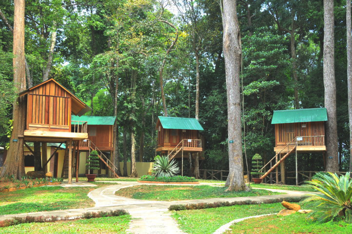 Nhà trên cây độc đáo tại Thác Dambri