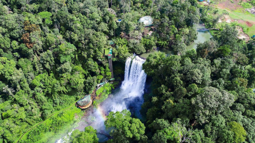 Rừng nguyên sinh 300ha bao quanh Thác Dambri